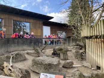 Fotos und Berichte