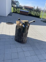 Fotos und Berichte