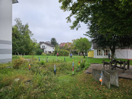 Fotos und Berichte